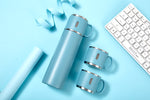 INSULATED STAINLESS STEEL FLASK VACUUM BOTTLE WITH CUP